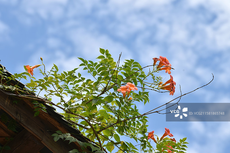 景德镇陶阳里历史文化街区图片素材