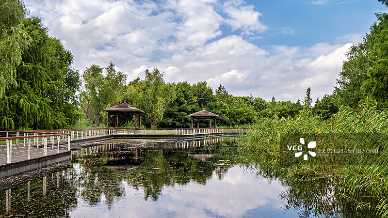 苏州同里国家湿地公园一景图片素材