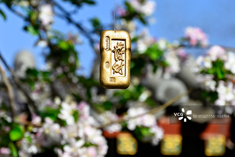 齐白石旧居纪念馆 海棠花与“发财”装饰物图片素材