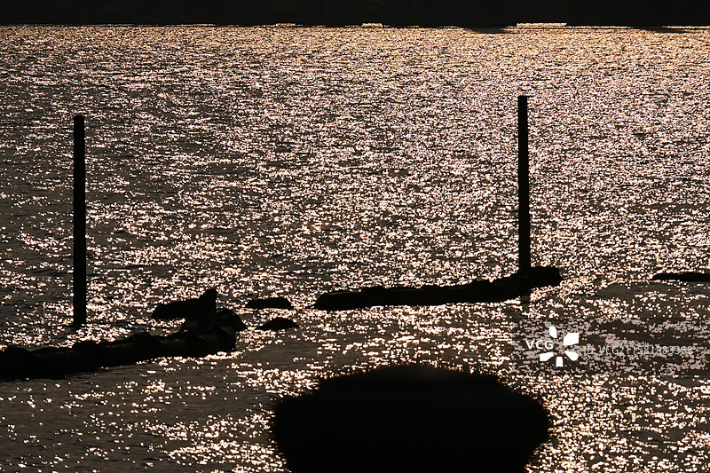 夕阳碎在海面图片素材