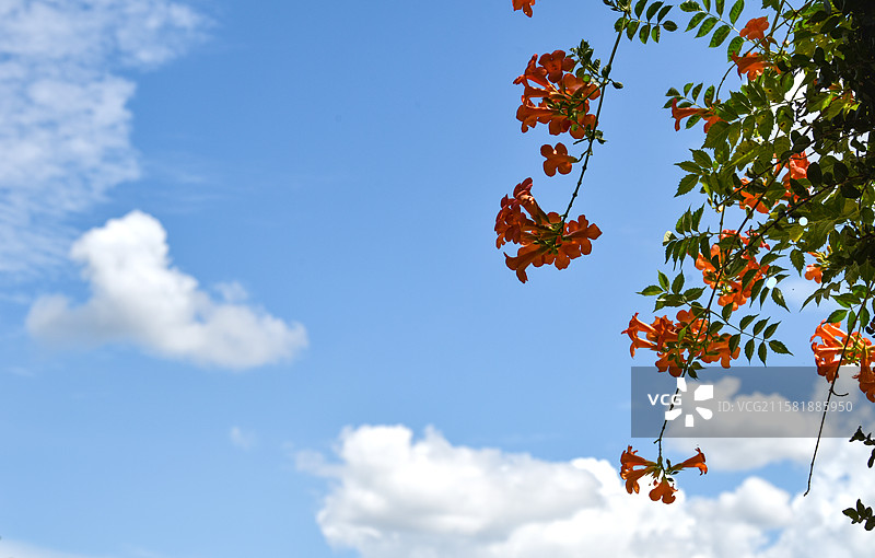 景德镇陶阳里历史文化街区图片素材