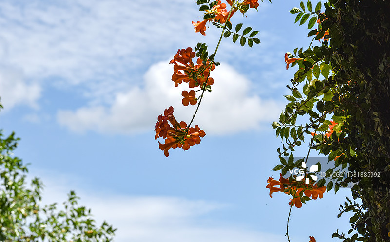 景德镇陶阳里历史文化街区图片素材