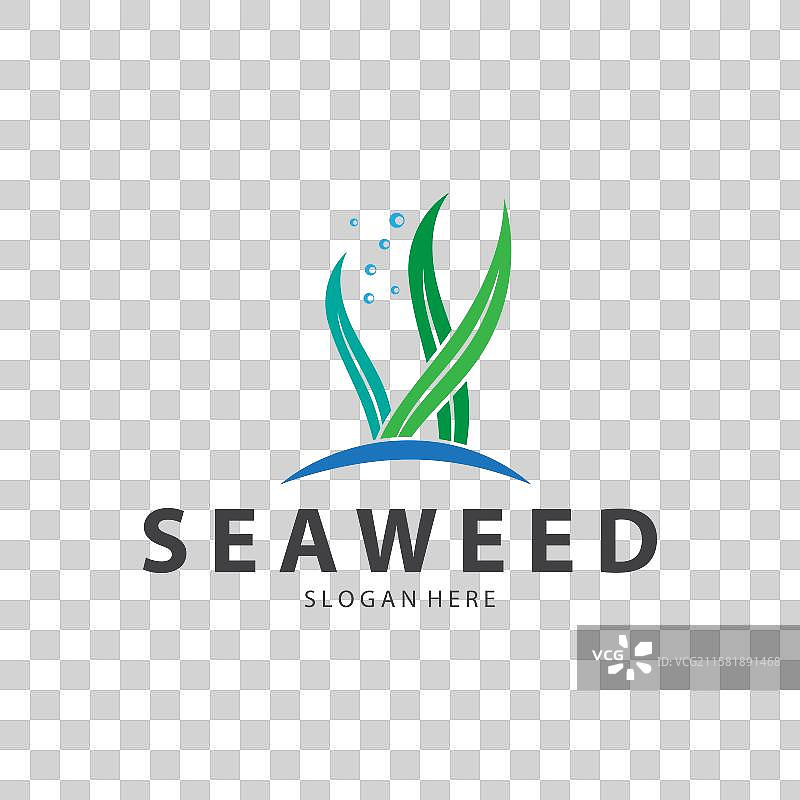 海藻标志 珊瑚标志 简约叶子标志图片素材