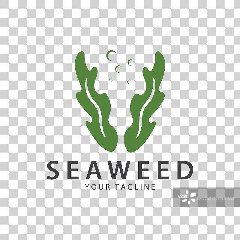 海藻标志 珊瑚标志 简约叶子标志图片素材