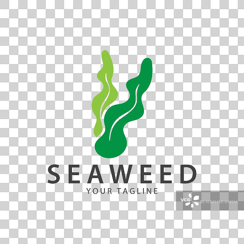 海藻标志 珊瑚标志 简约叶子标志图片素材