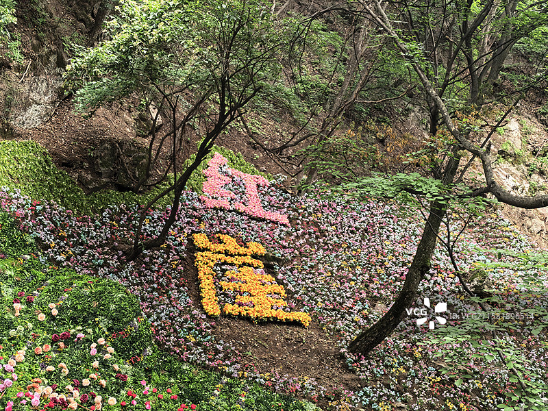 红崖峡谷景区鲜花盛开图片素材