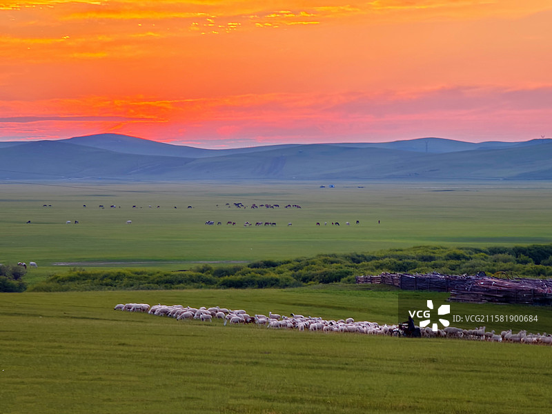 霞映草原图片素材