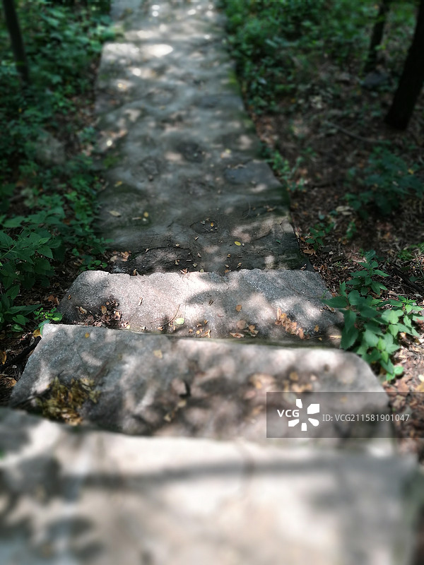 山间小路。高山。台阶。登山。光影。夏天。阳光。太阳图片素材