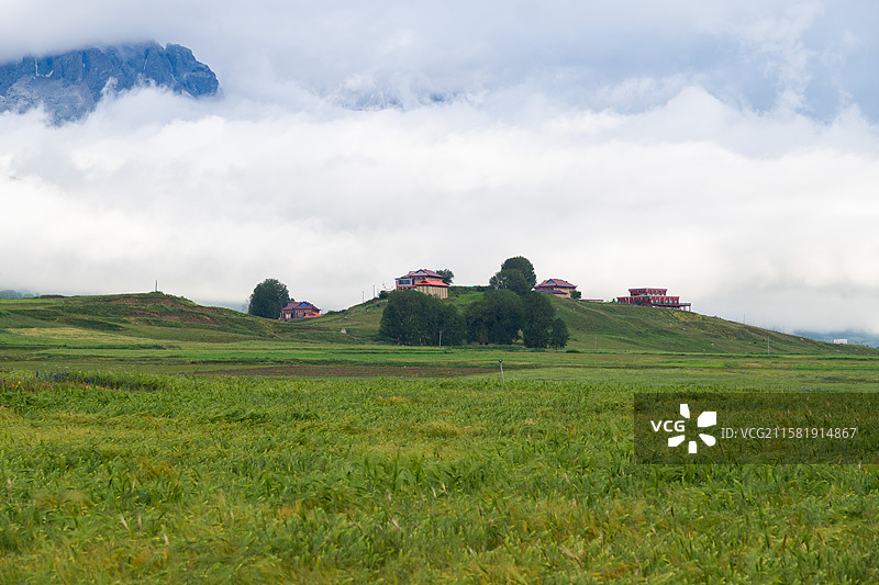 四川省甘孜藏族自治州甘孜县青稞麦田和村庄图片素材