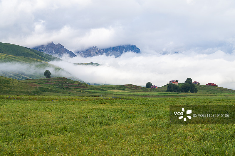四川省甘孜藏族自治州甘孜县青稞麦田和村庄图片素材