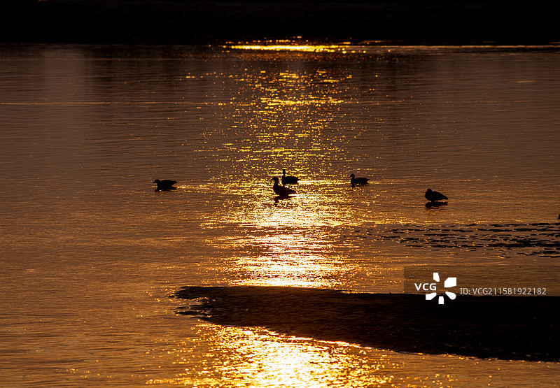 流金岁月图片素材
