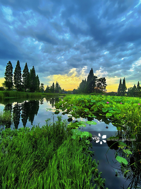 郫都区三道堰镇湿地公园图片素材