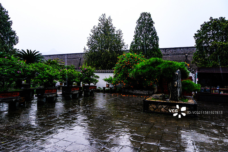 中国山东省泰安市岱庙景区的园林风光，岱庙景区的汉柏和唐槐，图片素材