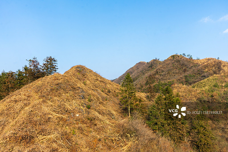 2020年湖南沩山风光图片素材