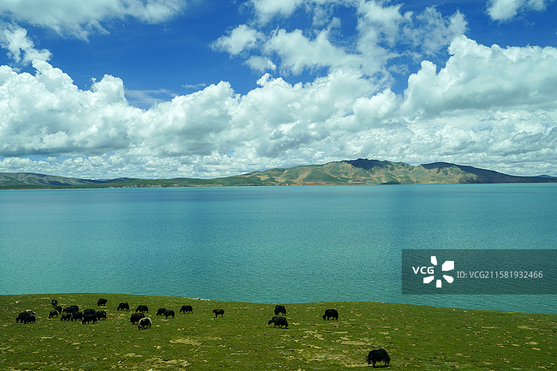 青藏铁路之安多措那湖图片素材