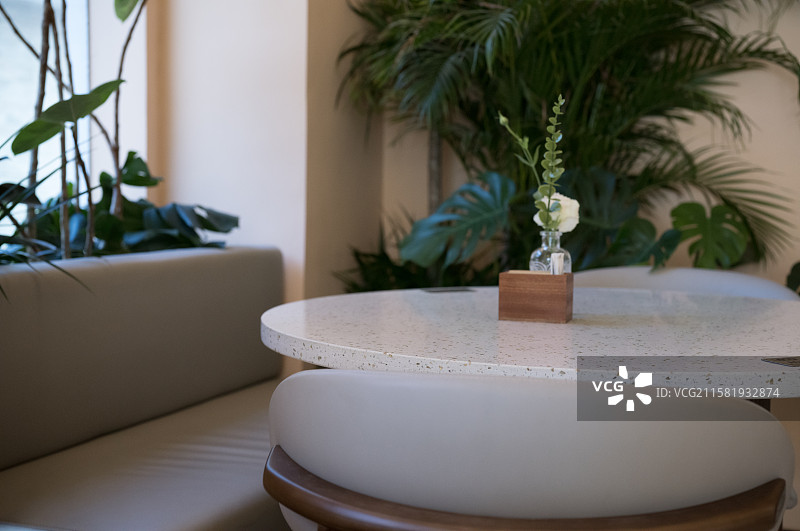 餐厅室内里的空椅子和桌子图片素材