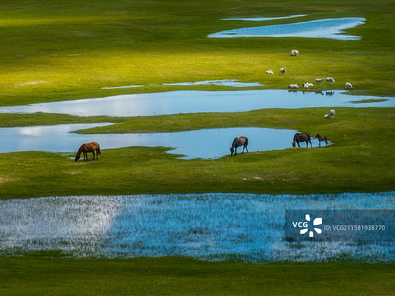 航拍内蒙古正蓝旗草原湿地风光图片素材