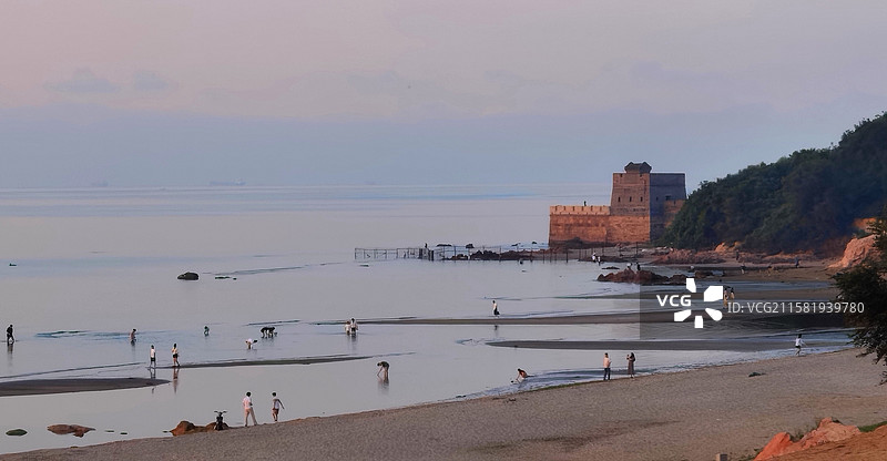 《清晨山海关老龙头赶海的人们》图片素材
