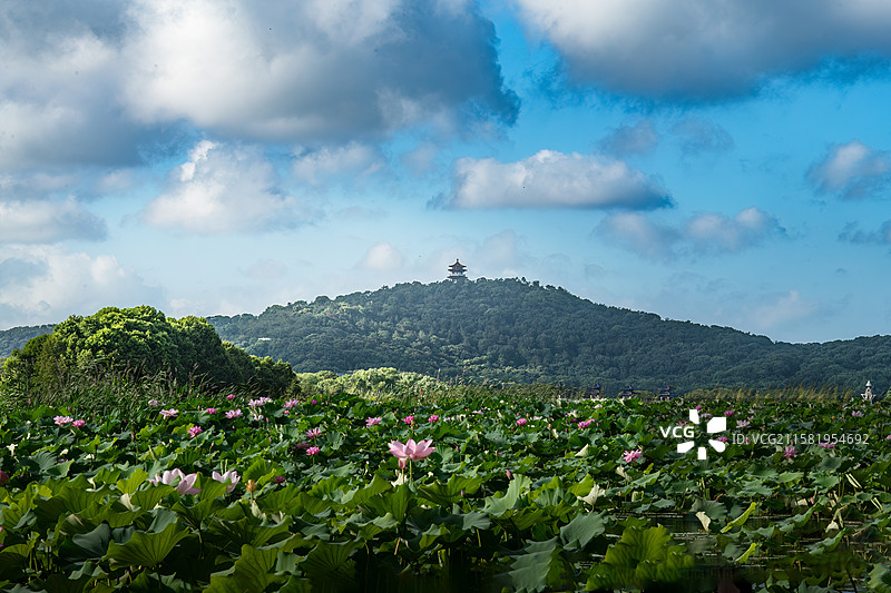 蠡湖美丽的早上图片素材