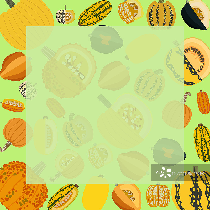 方形横幅南瓜（Cucurbita pepo）扁平风格图片素材