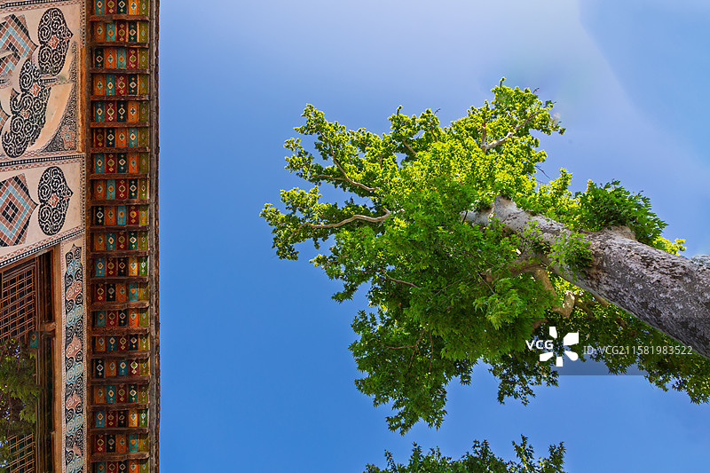 蓝天下舍基可汗宫殿（The Palace of Shaki Khans）树木和植物的低角度视图图片素材