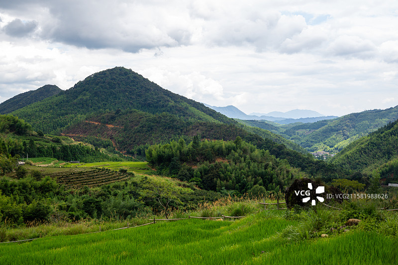 福建漳州华安县青山绿水间的梯田风光图片素材