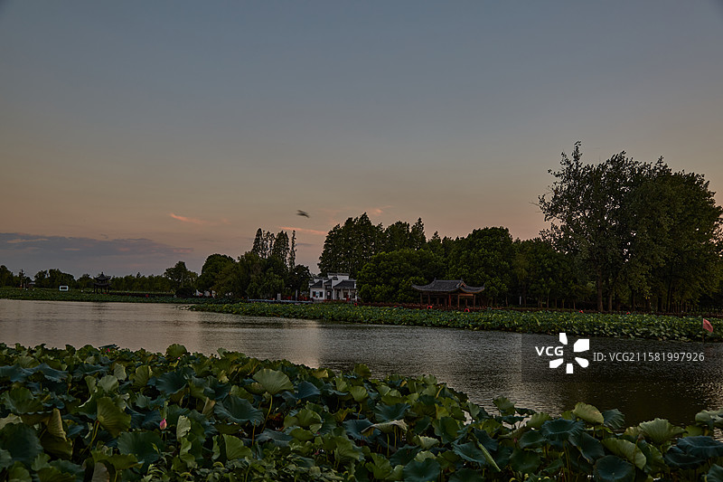 安徽省芜湖市湾沚区陶辛水韵风景区图片素材