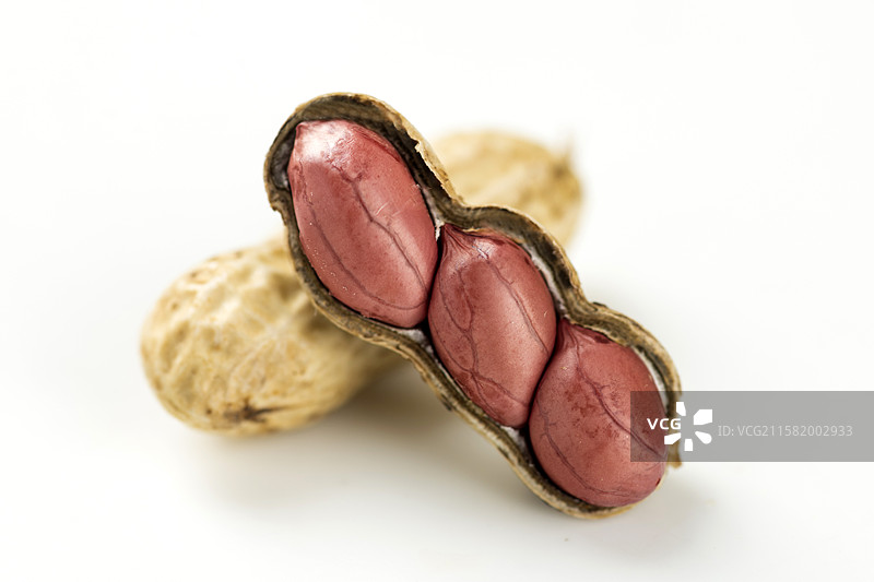 鲜花生图片素材