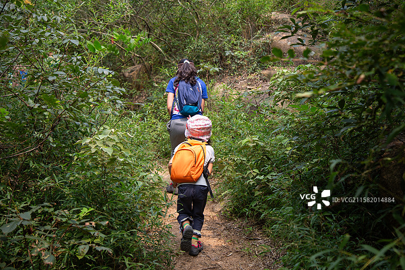 母女在丛林小径上行走背影图片素材