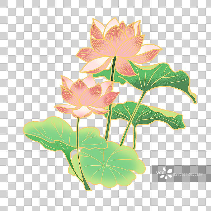 国潮风夏季荷花素材图片素材