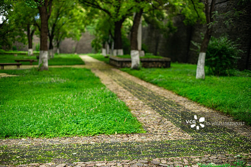 中国园林中式庭院拍摄主题，山东泰安岱庙城墙和洋槐树落的花和花园路，户外白昼无人图像摄影图片素材