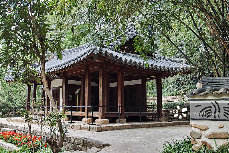 2020年春节越秀公园图片素材