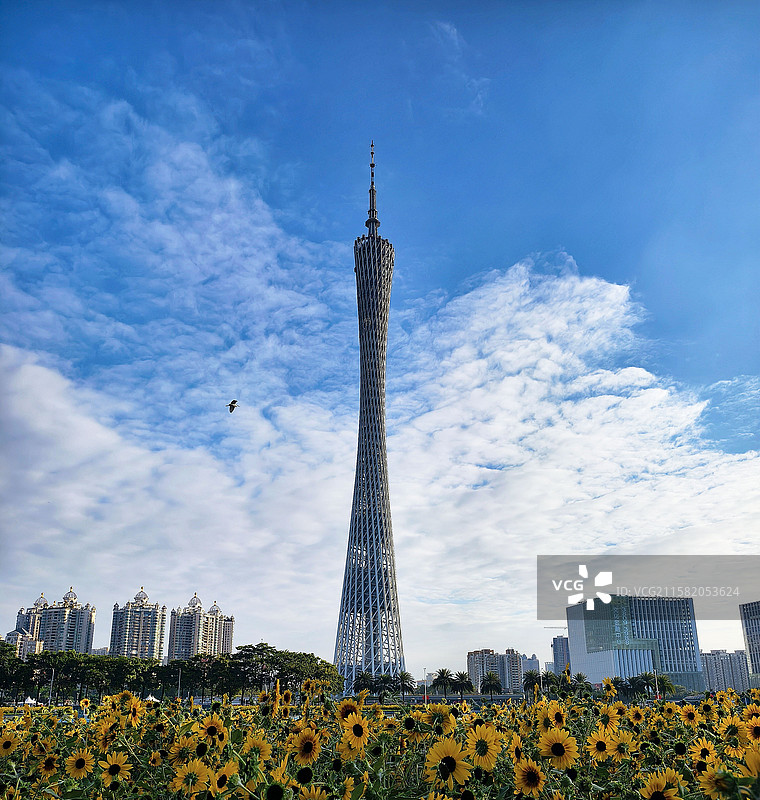 广州塔图片素材