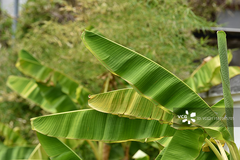 景德镇陶阳里历史文化街区图片素材
