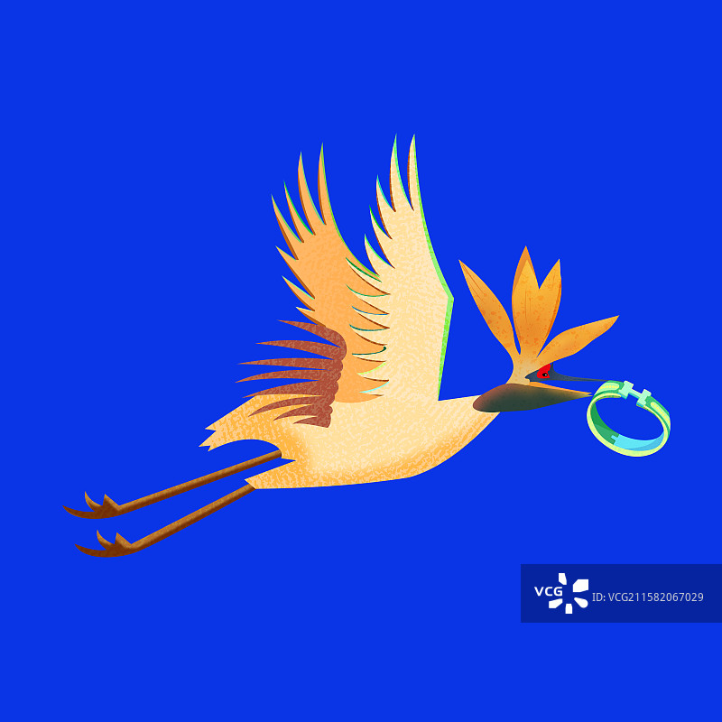 鲜花天堂鸟与戒指仙鹤图片素材