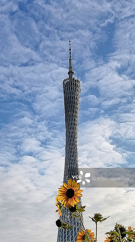 广州塔图片素材