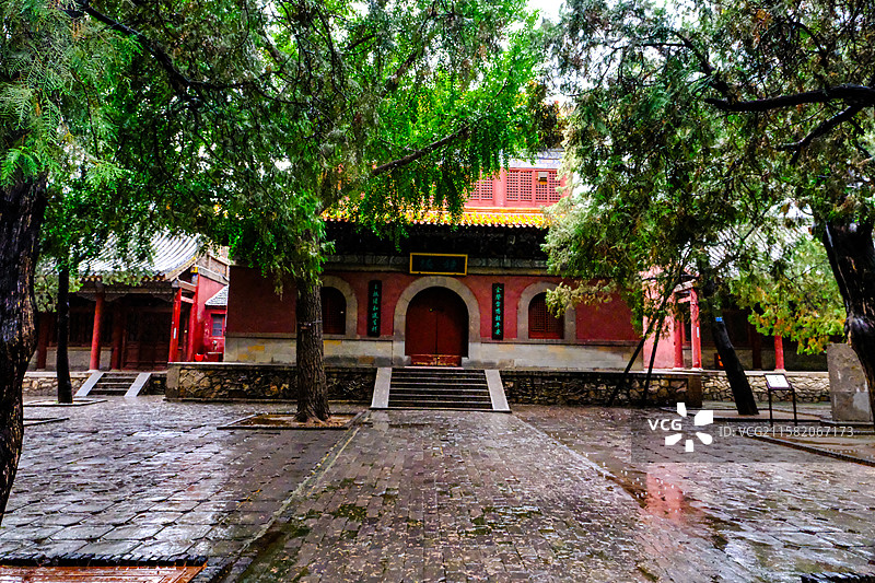 中国山东省泰安市岱庙景区的园林风光，岱庙景区的汉柏和唐槐，图片素材