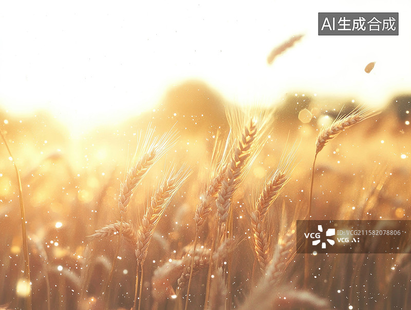 【AI数字艺术】动态秋季麦田抽象商业背景收获主题节气秋天图片素材