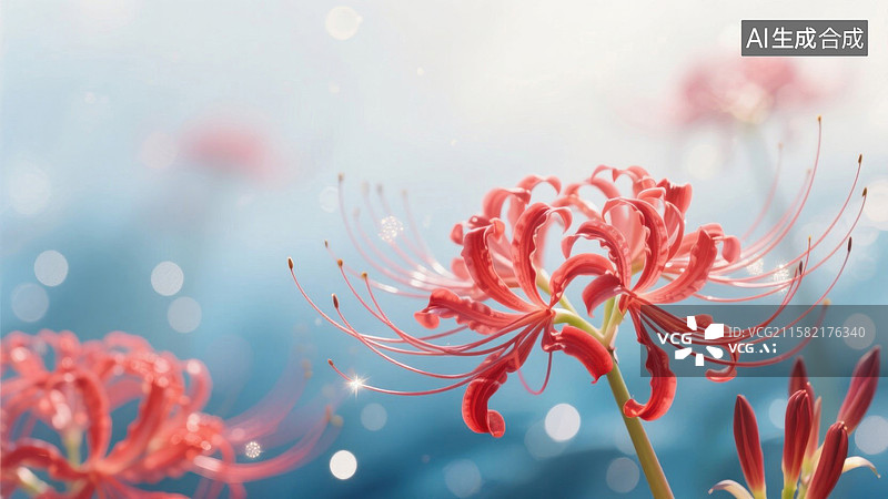 【AI数字艺术】彼岸花盛开的唯美瞬间图片素材
