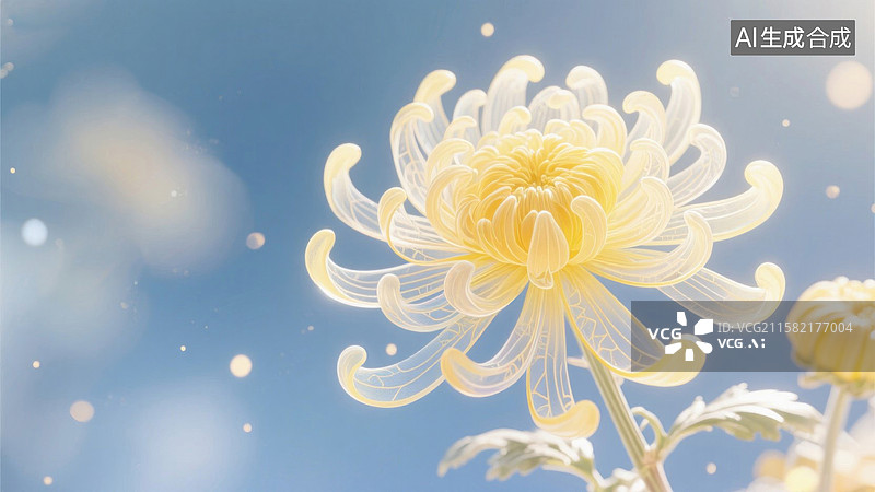 【AI数字艺术】淡雅菊花的静谧之美秋天的菊花秋季图片素材