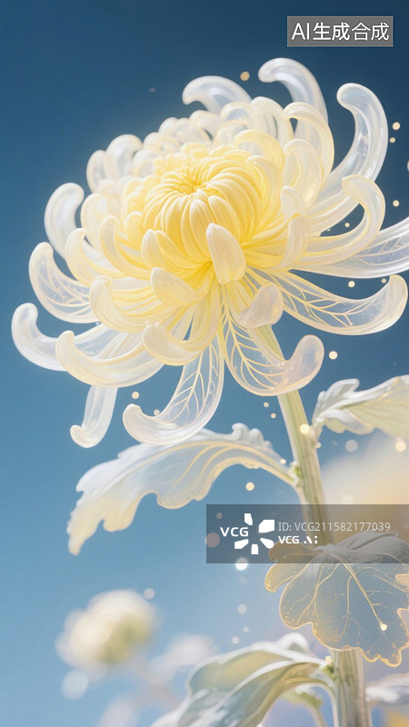 【AI数字艺术】晶莹剔透的白菊绽放秋天花卉秋色图片素材