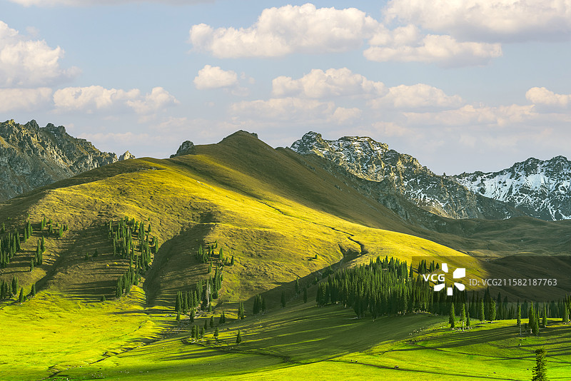 秋天的新疆伊利那拉提空中草原风光图片素材