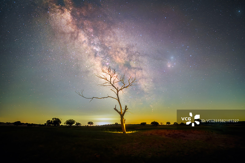 内蒙古草原枯树与银河图片素材