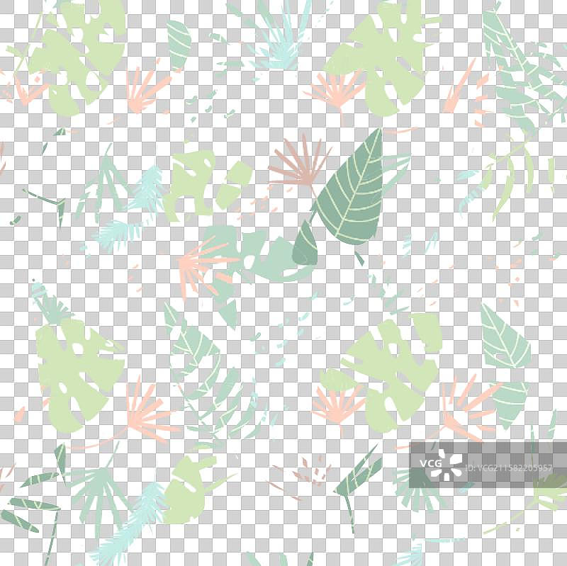 热带植物图案图片素材