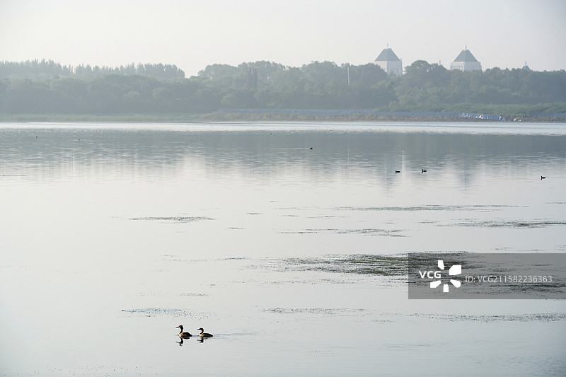 晨光雾影里的萨尔图（2）图片素材