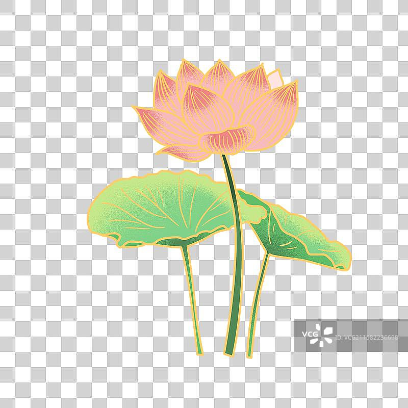 国潮风夏季荷花素材图片素材