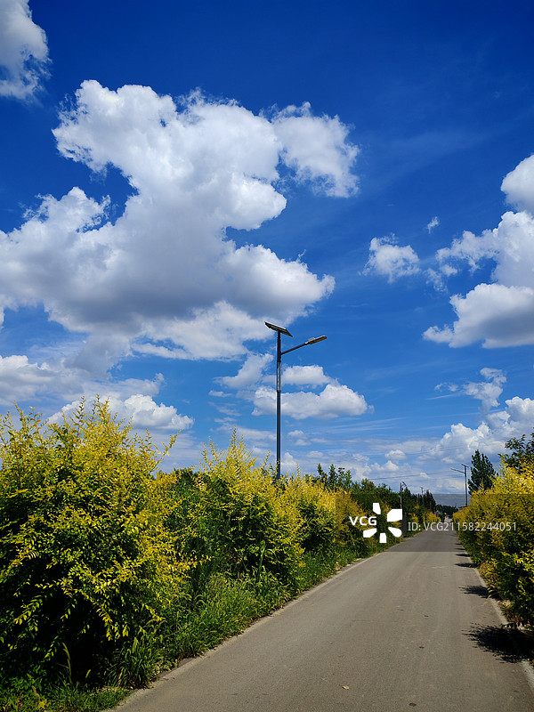 乡村田野道路图片素材