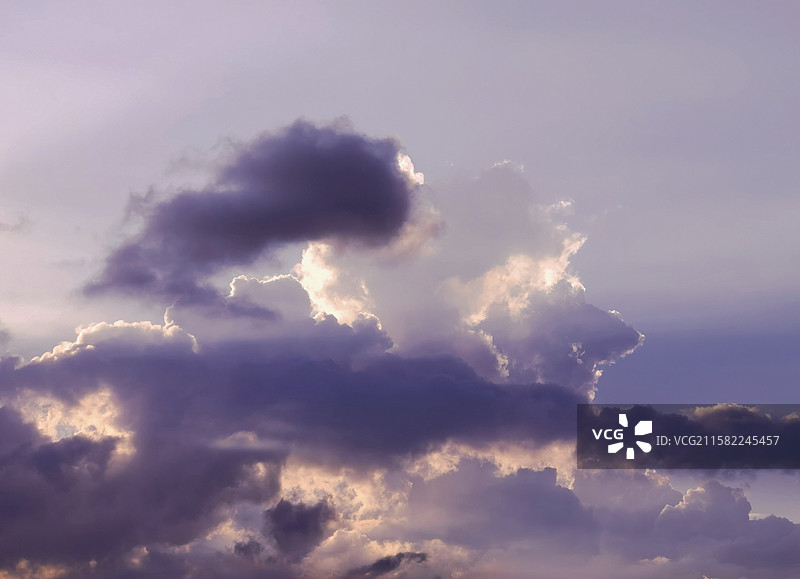 《狮子王》图片素材