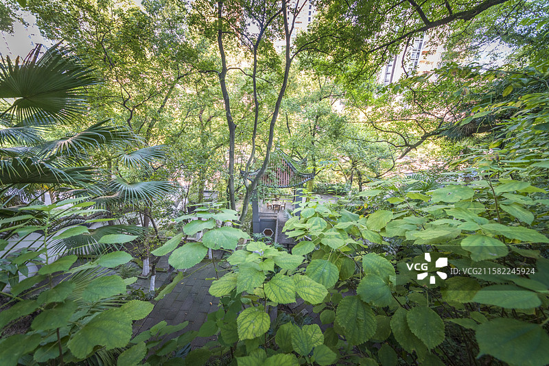 重庆万州西山公园景观图片素材
