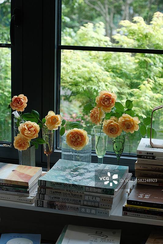 慢生活图片素材